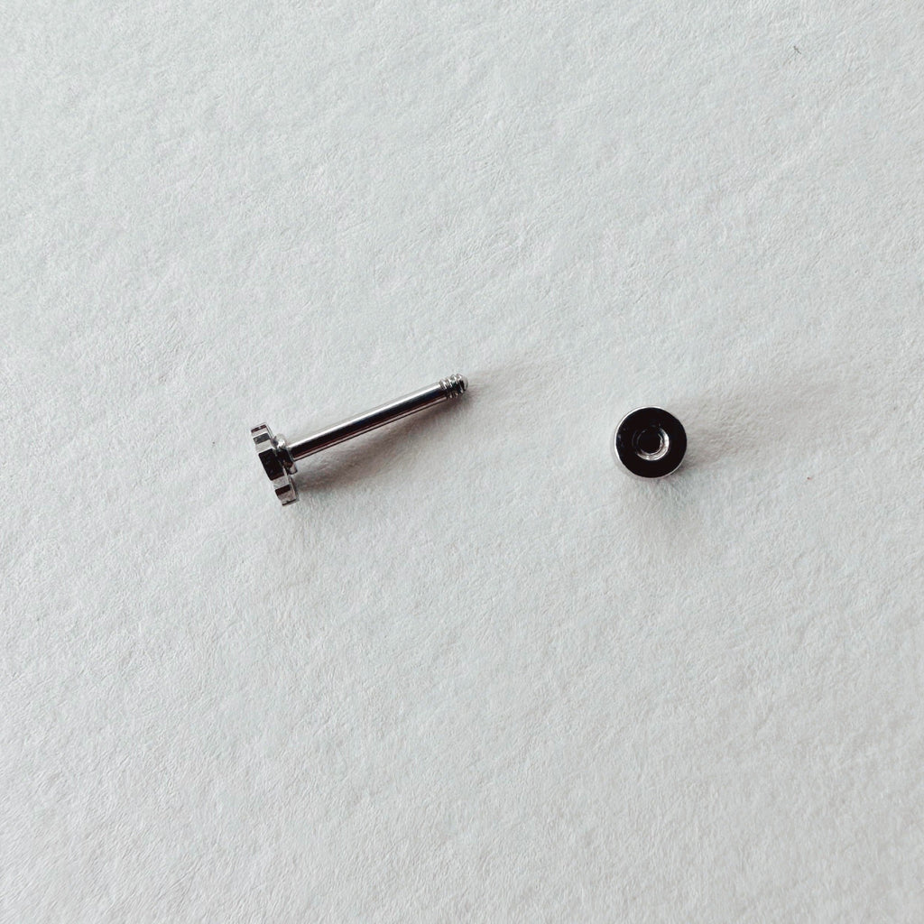 Flat Back- Teeniest Tiniest Monstera Deliciosa Earring Studs