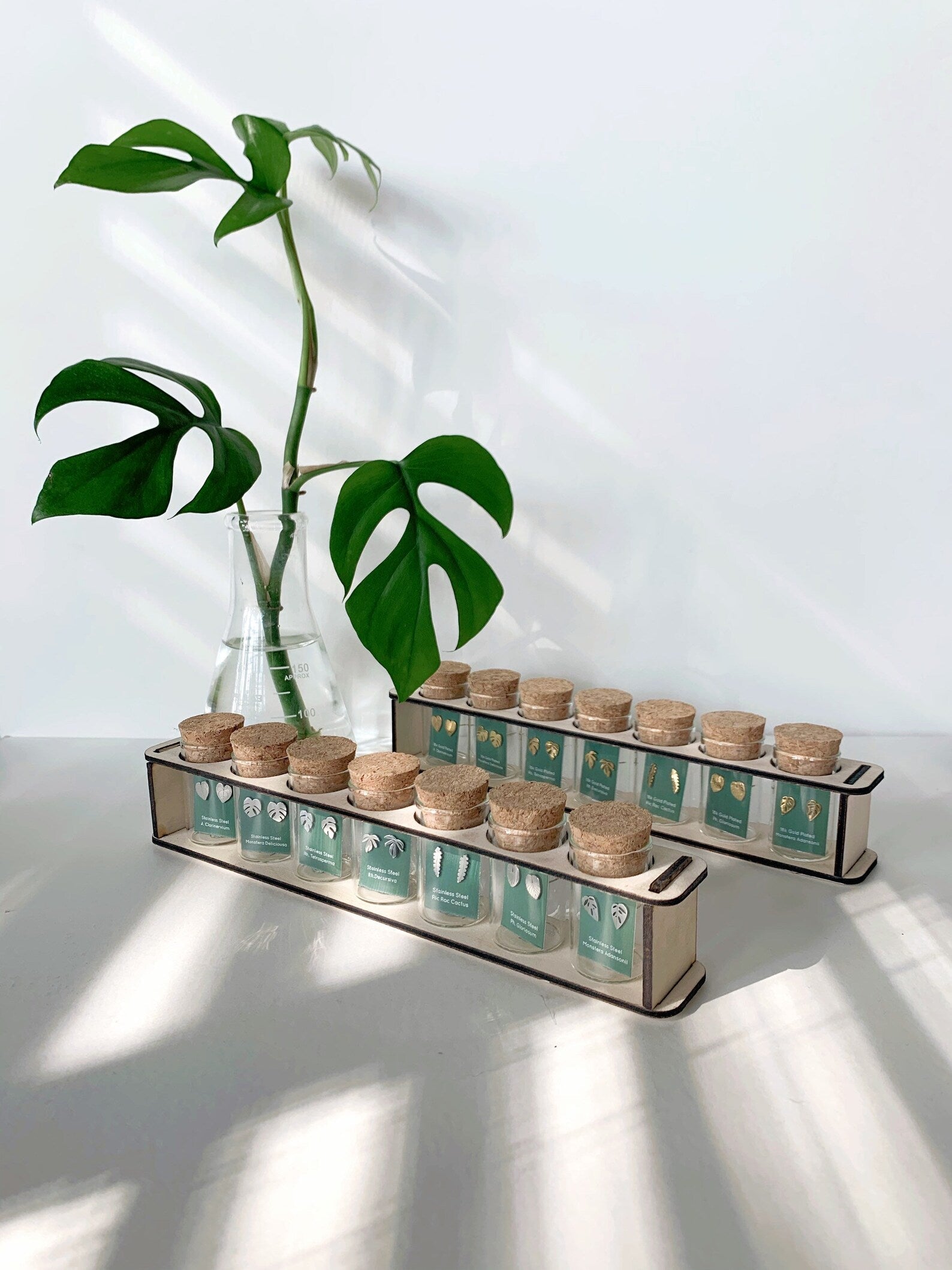 Custom Etched Propagation Stand + 3 Set Tiny Houseplant Earring Studs